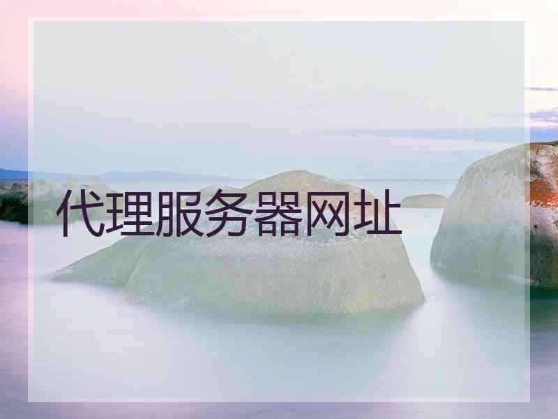 代理服务器网址